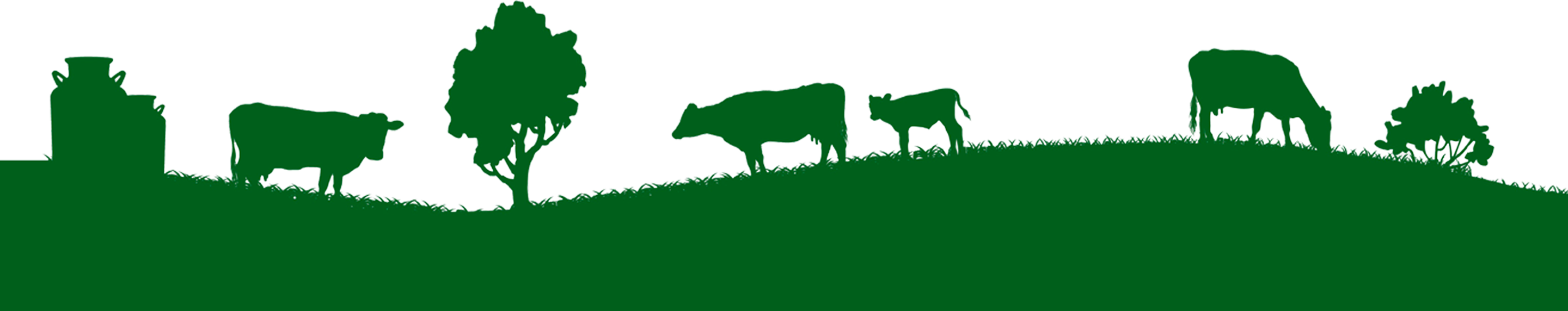 Footer Landscape Silhouette